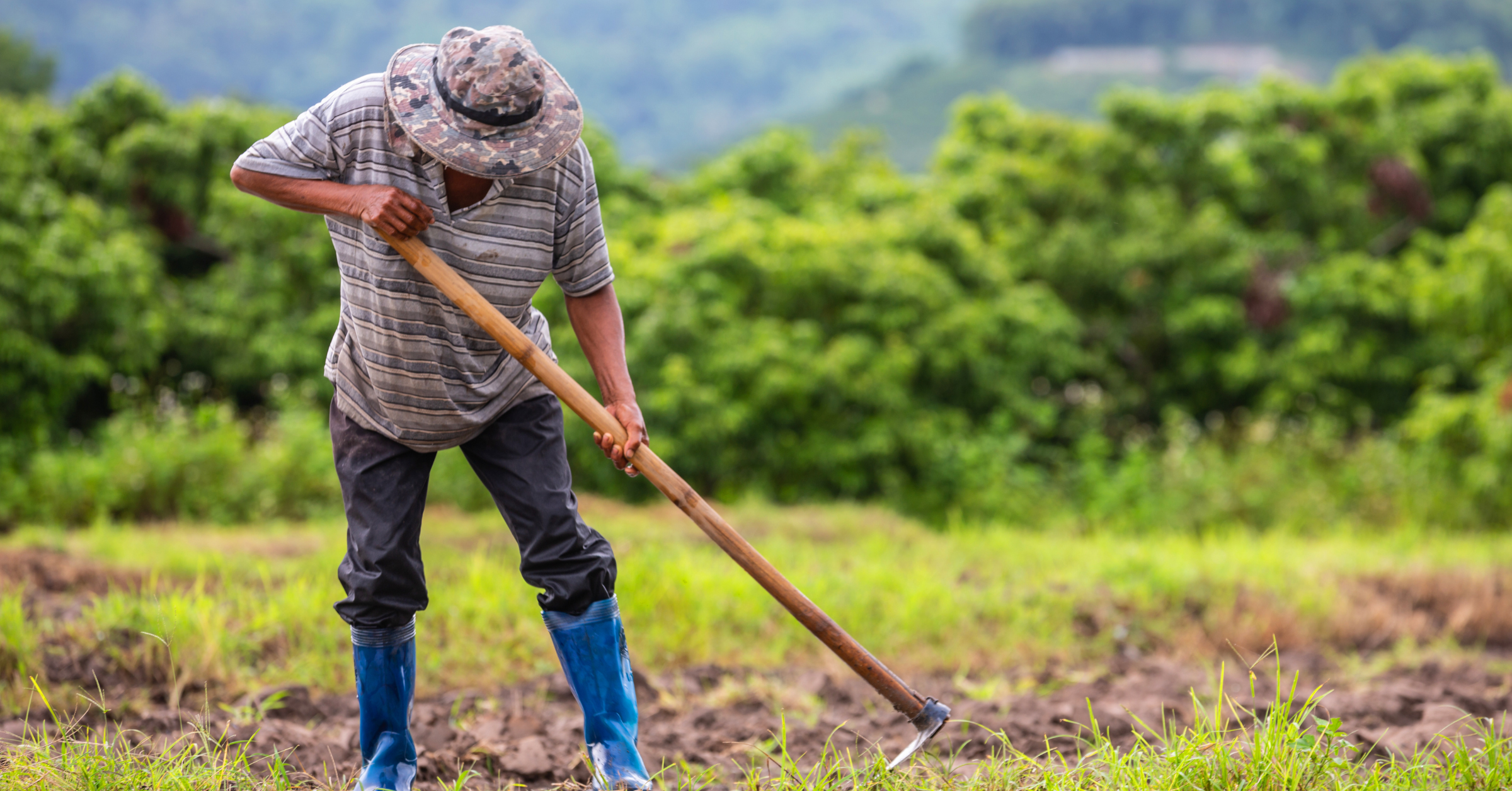 Soluciones ferreteras para el agro: herramientas y materiales que facilitan tu trabajo en el campo